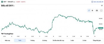 Tỷ giá USD hôm nay 13/3: Đồng Đô la trải qua một tuần đầy biến động, vẫn giữ mức 104 điểm