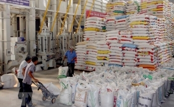 “Thiên thời, địa lợi” với doanh nghiệp lúa gạo Việt Nam