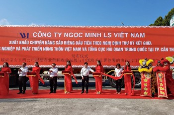 TP. Cần Thơ: Chuyến hàng xuất khẩu sầu riêng đầu tiên sang Trung Quốc