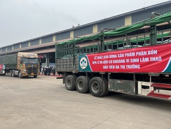 Bức tranh ngành phân bón 2023: Nhiều thách thức, ít cơ hội