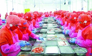 Giá sụt giảm, cửa sáng nào cho tôm xuất khẩu?