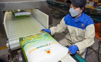 Không xem nhẹ xuất khẩu sang các nước ASEAN