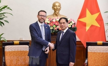 Tăng cường mở rộng hợp tác trong các lĩnh vực mới mà Anh có thế mạnh