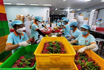 Ðồng bằng sông Cửu Long và TP. Hồ Chí Minh hợp tác phát triển