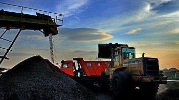 Ngành than duy trì ổn định nhịp độ sản xuất