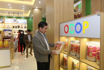 Thái Bình: Liên kết để tạo đột phá về thương mại, dịch vụ