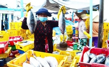 Năm 2023, cá ngừ Việt Nam chuyển hướng đột phá thị trường nhỏ
