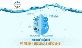 Những điều cần biết về sự hình thành của nước Vikill