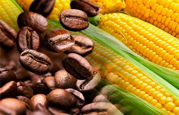 Hỏi đáp Giao dịch Hàng hóa (Số 13): Hợp đồng liên kỳ hạn và liên hàng hóa