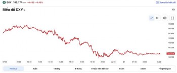 Tỷ giá USD hôm nay 31/3: Trong nước giữ nguyên, thế giới giảm