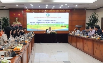 Giá heo hơi liên tục giảm, Bộ Nông nghiệp nói gì?