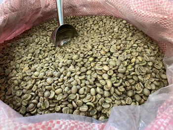 Giá cà phê hôm nay, 02/4: Giá cà phê trong nước xuống 48.200 đồng/kg