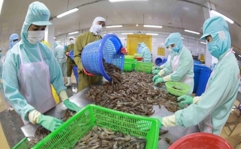 Một số ngành chủ lực tụt dốc, xuất khẩu nông nghiệp quý 2 có khởi sắc?