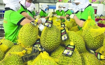 Thị trường Trung Quốc triển vọng đi đôi với cạnh tranh