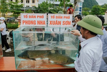 Hội thi cá trắm sông Son hứa hẹn thu hút du khách