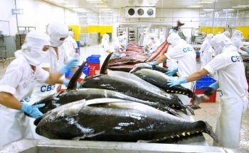 Dệt may, thủy sản, điện tử có cơ tăng xuất khẩu sang Israel