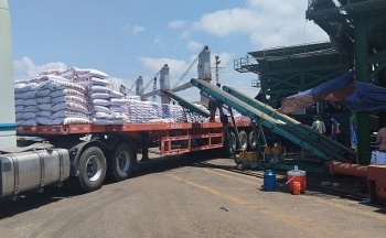 Phân bón Cà Mau nhập trên 400.000 tấn sản phẩm phục vụ bà con vụ Hè Thu