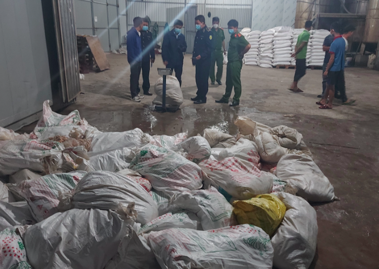 Bắc Ninh: Buộc tiêu hủy hơn 7 tấn lòng lợn chưa qua sơ chế