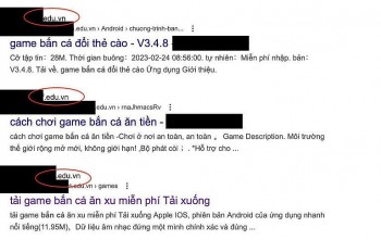 Nội dung cá độ, cờ bạc tấn công website của ngành giáo dục