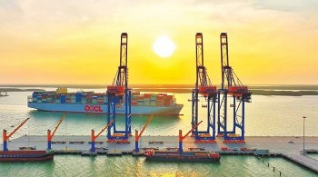 Anh gia nhập CPTPP mở ra “chương mới” trong thương mại với Việt Nam