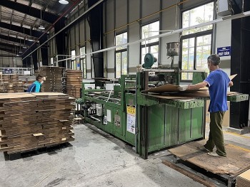 Doanh nghiệp ngành giấy đẩy mạnh xuất khẩu