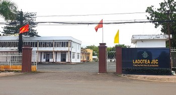 Công ty CP Chè Lâm Đồng bị xử phạt 320 triệu đồng vì vi phạm trong lĩnh vực môi trường