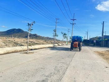 Ninh Thuận chuyển cơ quan điều tra vụ chuyển nhượng đất nằm trong quy hoạch rừng phòng hộ