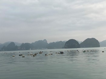 Tỉnh Quảng Ninh yêu cầu hoàn thành thu gom phao xốp trôi nổi trên vịnh Hạ Long trước 28/4