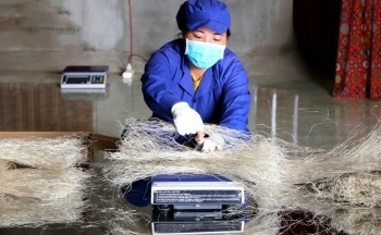 Chiến lược xuất nhập khẩu hàng hóa tỉnh Bắc Kạn đến năm 2030: Phấn đấu tốc độ tăng trưởng 6-7%/năm