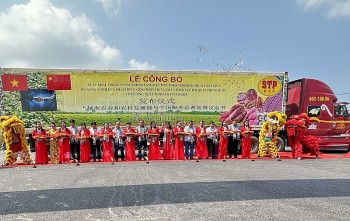 Vĩnh Long xuất khẩu chuyến hàng khoai lang đầu tiên theo đường chính ngạch