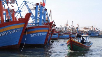 Việt Nam phản đối Trung Quốc ban hành lệnh cấm đánh bắt cá ở Biển Đông