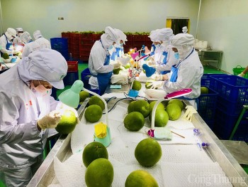 Bài 2 - Áp lực buộc doanh nghiệp chuyển đổi thích ứng