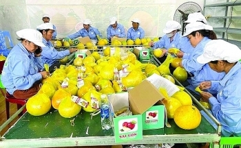 Thêm cơ hội cho nông sản Việt sang Anh