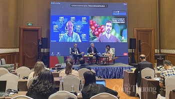 Xây dựng chuỗi giá trị bền vững để nông sản Việt tiến sâu vào thị trường EU