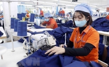 Nhiều cơ hội mở rộng hợp tác thương mại giữa Việt Nam và Uruguay