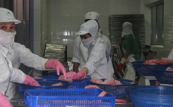 Cá ngừ Việt Nam bị sụt giảm thị phần tại Canada