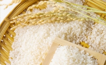 Giá lúa gạo hôm nay ngày 17/7/2023: Giá ổn định, thị trường sôi động phiên đầu tuần