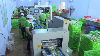 Gia Lai: Nhiều thành tựu trong 10 năm thực hiện Nghị định số 45/2012/NĐ-CP về khuyến công