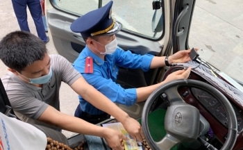 BÀI 1: Vi phạm nhiều nhưng xử phạt rất mỏng manh
