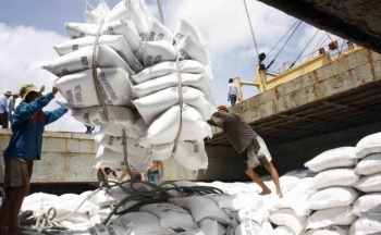 Xuất khẩu gạo sang Indonesia tăng đột biến