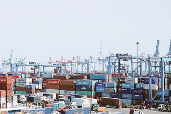 Tìm chủ gần 300 lô hàng tồn đọng tại cảng