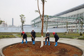 Ngành Than: Chủ động phòng, chống thiên tai và bảo vệ môi trường