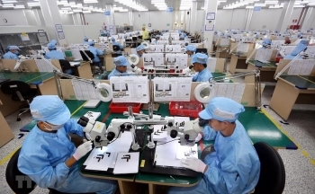 Doanh nghiệp mong chính sách hỗ trợ đừng... khó quá