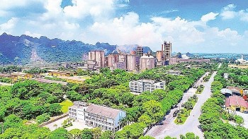 Hàng loạt doanh nghiệp xi măng bị thanh tra