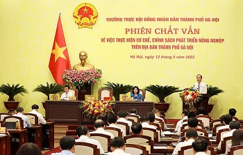 Hà Nội đã phát hiện hơn 800 nghìn trường hợp vi phạm trên đất nông nghiệp