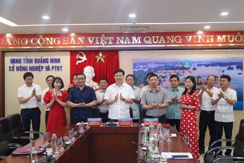 6 địa phương ký kết chống khai thác bất hợp pháp thủy sản