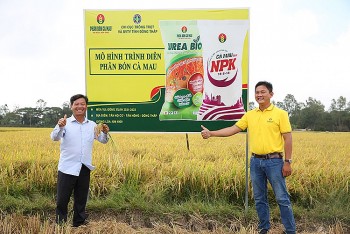 Hiệu quả nổi bật của mô hình sản xuất lúa sử dụng phân bón NPK Cà Mau công nghệ polyphosphate