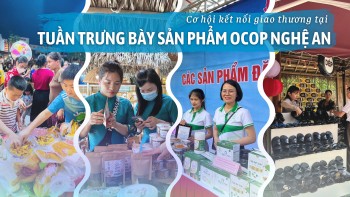 Longform | Cơ hội kết nối giao thương tại Tuần trưng bày sản phẩm OCOP Nghệ An