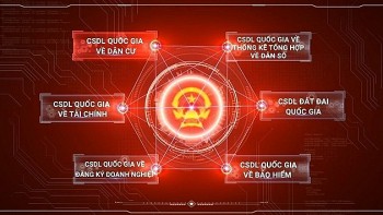 BHXH Việt Nam: Đơn vị đầu tiên kết nối thành công với Cơ sở dữ liệu quốc gia về dân cư