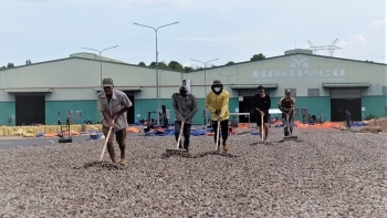 Ngành điều đối mặt khó khăn kép